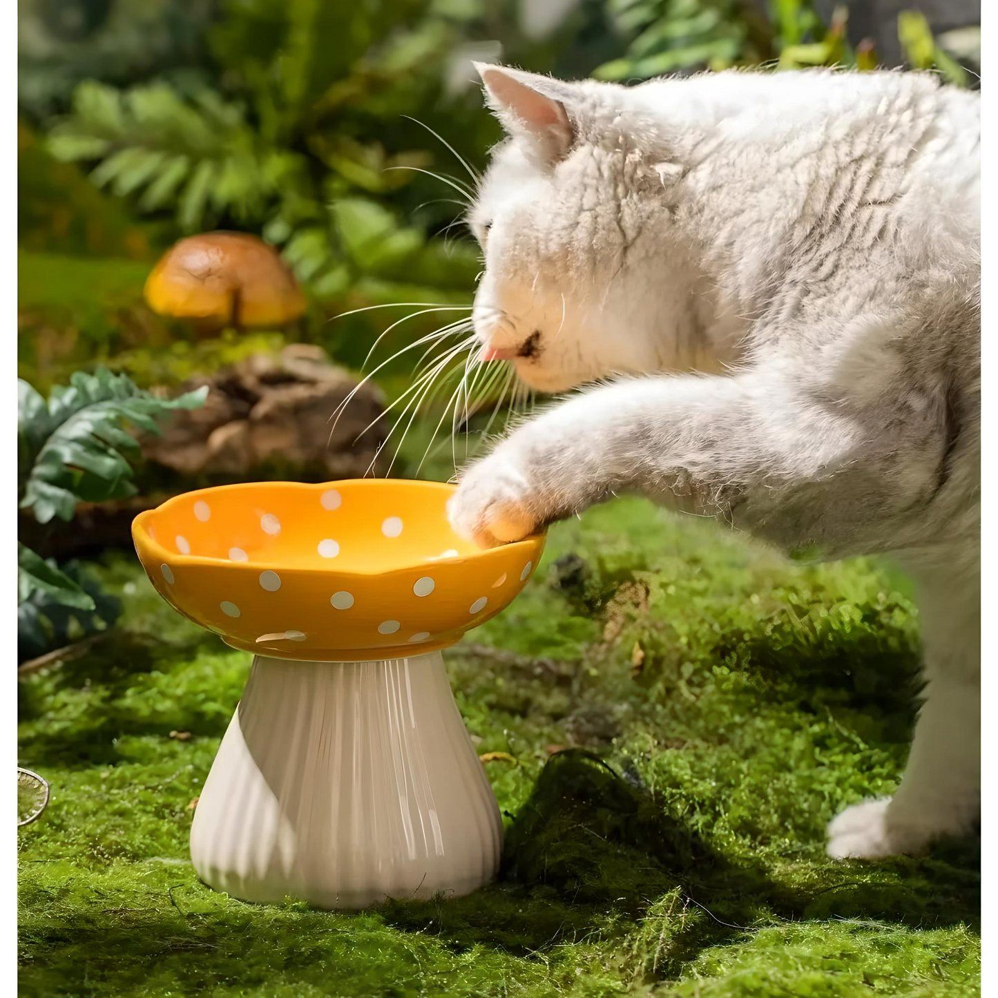 Einzigartige Keramikbowl in Pilzform – Praktisch & Dekorativ - CatsGalaxy