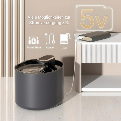 Leiser Premium-Wasserspender mit LED-Anzeige - CatsGalaxy