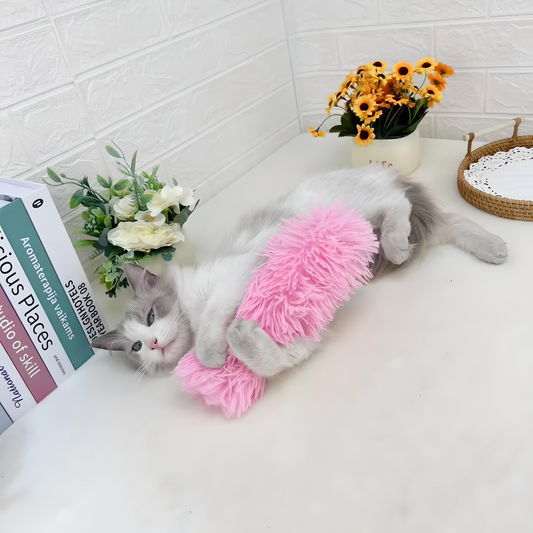 Katzenminze Plüsch-Kauspielzeug – Interaktiver Spielspaß für deine Katze - CatsGalaxy